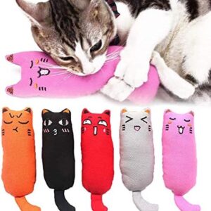 5Pcs Bite Resistant Catnip Toy for Cats,Catnip Filled Cartoon Mice Cat…