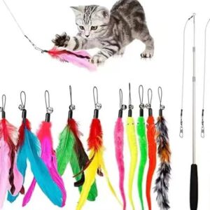 Cat Toys Feather Toy, 2PCS Retractable Wand and 10PCS Replacement Teas…