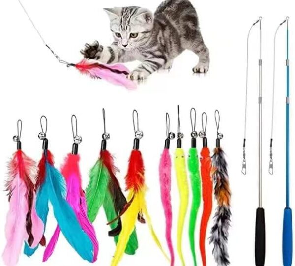 Cat Toys Feather Toy, 2PCS Retractable Wand and 10PCS Replacement Teas...