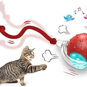 Interactive Cat Toys Ball for Indoor Cats Fast Rolling on Carpet, Chir…