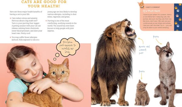 A Kid's Guide to Cats: How to Train, Care for, and Play and Communicat... - Image 3