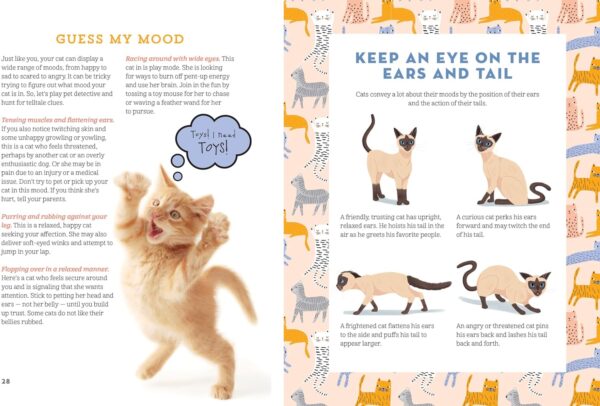 A Kid's Guide to Cats: How to Train, Care for, and Play and Communicat... - Image 4