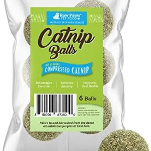 Raw Paws Catnip Balls, 6 ct – Interactive Cat Toy for Indoor Cats – Ca…