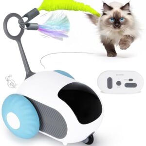 Cat Toys for Indoor Cats, Smart Interactive Cat Toy with Two-Speed Adj…