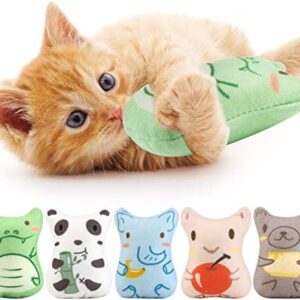 Dorakitten Catnip Toys for Indoor Cats – 5PCS Plush Cat Chew Toys Teet…