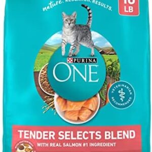 Purina ONE Natural Dry Cat Food, Tender Selects Blend With Real Salmon…