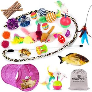 MIBOTE 28Pcs Cat Toys Kitten Toys Assorted, Cat Tunnel Catnip Fish Fea…