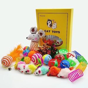 25 PCS Assortment of Cat Toys – Hanging Door Cat Toy, Catnip Toys,Feat…