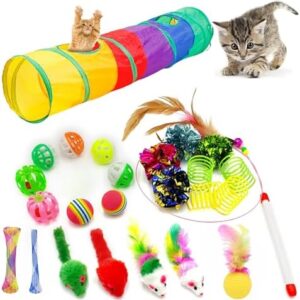 iCAGY Kitten Toys, Cat Toys, 25 Assorted Cat Stuff Toys Pack Including…