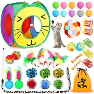 37 PCS Cat Toys, Interactive Kitten Toys for Indoor Kitty, Variety Cat…