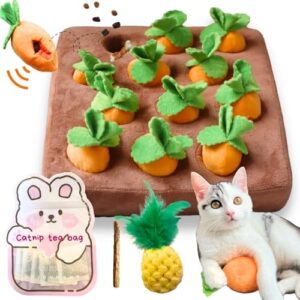 Carrot Catnip Cat Toys, Interactive Feather Cat Toys for Indoor Cats, …