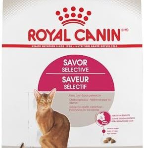 Royal Canin Savor Selective Adult Dry Cat Food, 6 lb bag