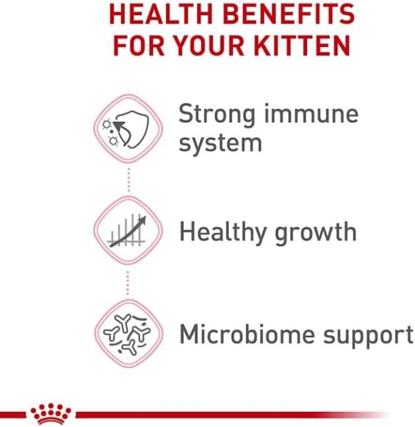 Royal Canin Feline Health Nutrition Dry Kitten Food, Supports Digestiv... - Image 6