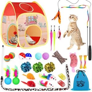 34Pcs Cat Toys Kitten Toys,Interactive Cat Toys Set with Collapsible C…