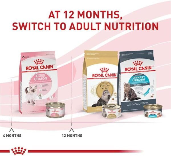 Royal Canin Feline Health Nutrition Dry Kitten Food, Supports Digestiv... - Image 7