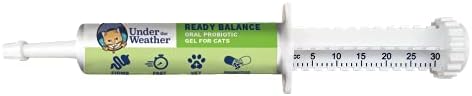 Under the Weather Pet | Ready Balance for Cats | Oral Probiotic and Pr… Under the Weather Pet | Ready Balance for Cats | Oral Probiotic and Pr…